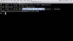 Complete Git Guide: Understand and Master Git and GitHub - What Have We Learned so Far? Instructional Video