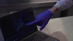 Specimens from the deep sea at the Natural History Museum News Clip