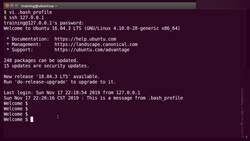 Bash Shell Scripting - Bash Shell Special Files Instructional Video