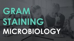 Gram Staining Instructional Video
