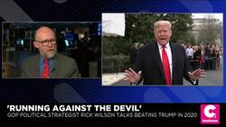 Conservative Strategist Says Democrats Need to Make Election a Referendum on Trump News Clip