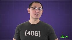 Why Do Some Harmonies Sound Prettier Than Others? Instructional Video