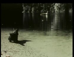 Relaxing at Schorn Pond and Berghof scenes Stock Footage