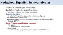 Hedgehog Signaling Pathway in Invertebrates | Mechanism and Role in Development Instructional Video