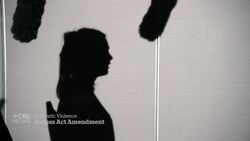 Survivors hopeful about bill to expand domestic violence education for judges News Clip