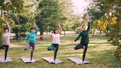 Slim young women are doing variations of Tree pose during yoga class outdoors in park relaxing and enjoying nature and activity. Sports and health concept. Stock Footage