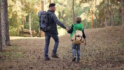 Back view of happy family child and father walking in forest with backpacks holding hands and talking, boy is throwing pine cones. Nature, fatherhood and autumn concept. Stock Footage