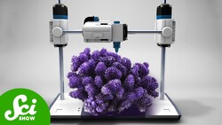 3 Weird Ways Science Is Saving Coral Reefs Instructional Video