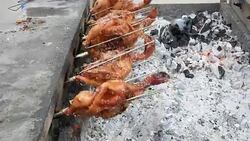 Grilled Chicken, Stock Footage