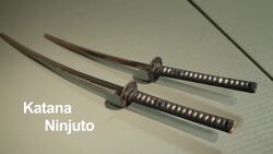 4 Facts about the Shuko in Ninjutsu Instructional Video