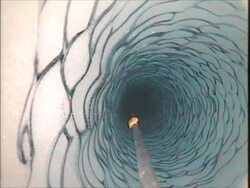 NASA | Surprise Shrimp Under Antarctic Ice Instructional Video