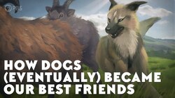 How Dogs (Eventually) Became Our Best Friends Instructional Video