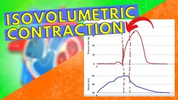Isovolumetric Contraction Instructional Video
