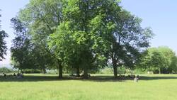 Temperatures soar in parts of Germany Instructional Video