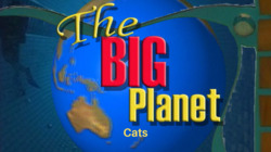 Cats Instructional Video