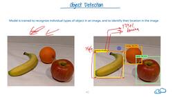 Image Classification Versus Object Detection Versus Semantic Segmentation Instructional Video