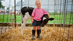 Exploring Empathy: Lessons from Hugo the Whale Instructional Video