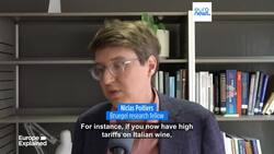 What impact will new US tariffs have on the wallets of people in Europe? News Clip