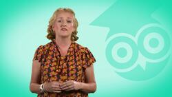 GCSE Secondary English Age 13-17 - Vocabulary: Simple Sentence - Explained Instructional Video