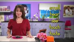 What Do I See Instructional Video