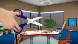 Force and Motion: Types of Levers Instructional Video