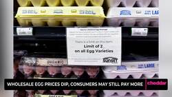 Wholesale Egg Prices Dip, Consumers May Still Pay More Instructional Video
