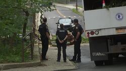 Debby's powerful winds knock down tree onto Yonkers roadway Instructional Video