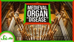 The "Disease" That Struck Medieval Church Organs Instructional Video