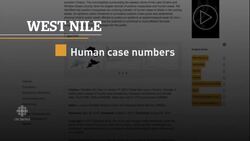 West Nile virus outbreak expected in Ontario, researchers say News Clip