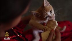 In northern Syria, displaced blame Russia for end to vital aid News Clip