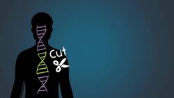 Genetic Engineering Instructional Video