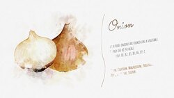 Onion and its beneficial properties Stock Footage