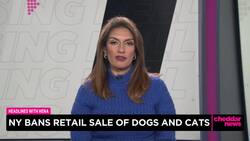New York Bans Retail Sales of Dogs & Cats News Clip