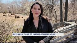 Wildlife Conservation Society to launch first 'Reel Wild' film festival News Clip