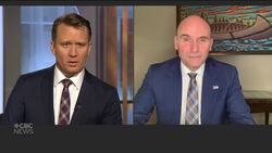 Are the government's new travel rules legal? News Clip