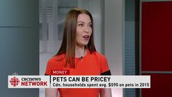Four-legged finance News Clip