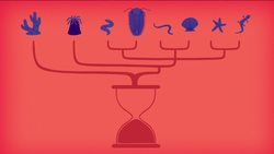 TED-Ed: Is this the most successful animal ever? | Nigel Hughes Instructional Video