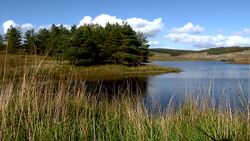Scottish loch used as a reservoir Stock Footage