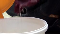 How to Get Paint Out of Carpet & Clothes Instructional Video