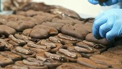 Hands of Confectioner in Gloves Making Eclairs Stock Footage