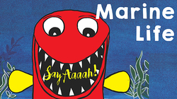 Say Aah - All about Sea Creatures Instructional Video