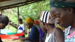 VOICED : DR Congo: Kivu's coffee, Arabica with a feminine touch News Clip