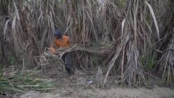 CLEAN : STOCKSHOTS: India economy News Clip