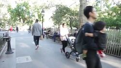 CLEAN : New York state bans flavored e-cigarettes over vaping concerns News Clip