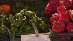 Market stall with fresh vegetables in boxes ready for sale Stock Footage