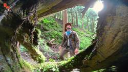 Rare Japanese Snake FOUND! Instructional Video