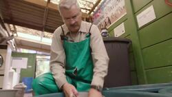 These Penguins Were Abandoned By Their Parents And This Team Hand-Feeds Them! Instructional Video