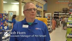 Tracy's Dogs Rescues Shelter Dogs From Euthanasia And Finds Them Forever Homes Instructional Video