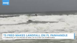 Tropical Storm Fred Makes Landfall On Florida Panhandle News Clip
