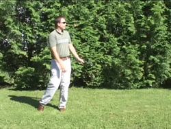 Healthy Skeletal and Muscular Systems: the Skeletal System in Action Instructional Video